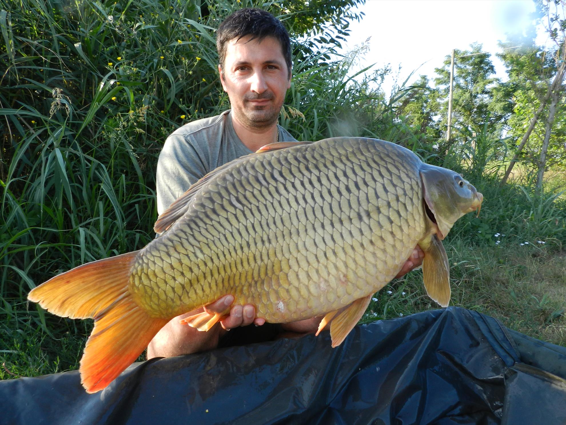 2015/iulie capturi - dscn4066.JPG